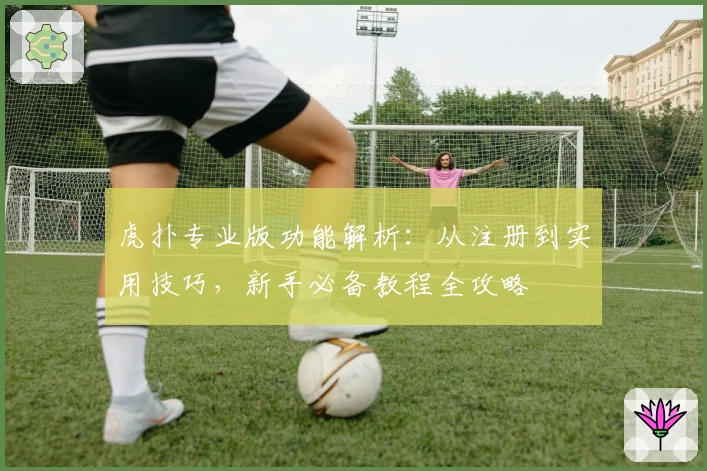 虎扑专业版功能解析：从注册到实用技巧，新手必备教程全攻略